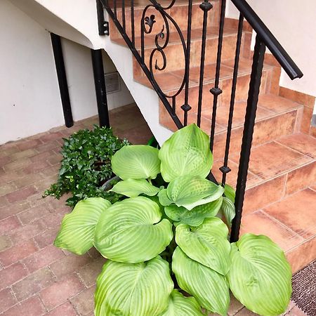Apartmany U Vavrince Sušice Buitenkant foto