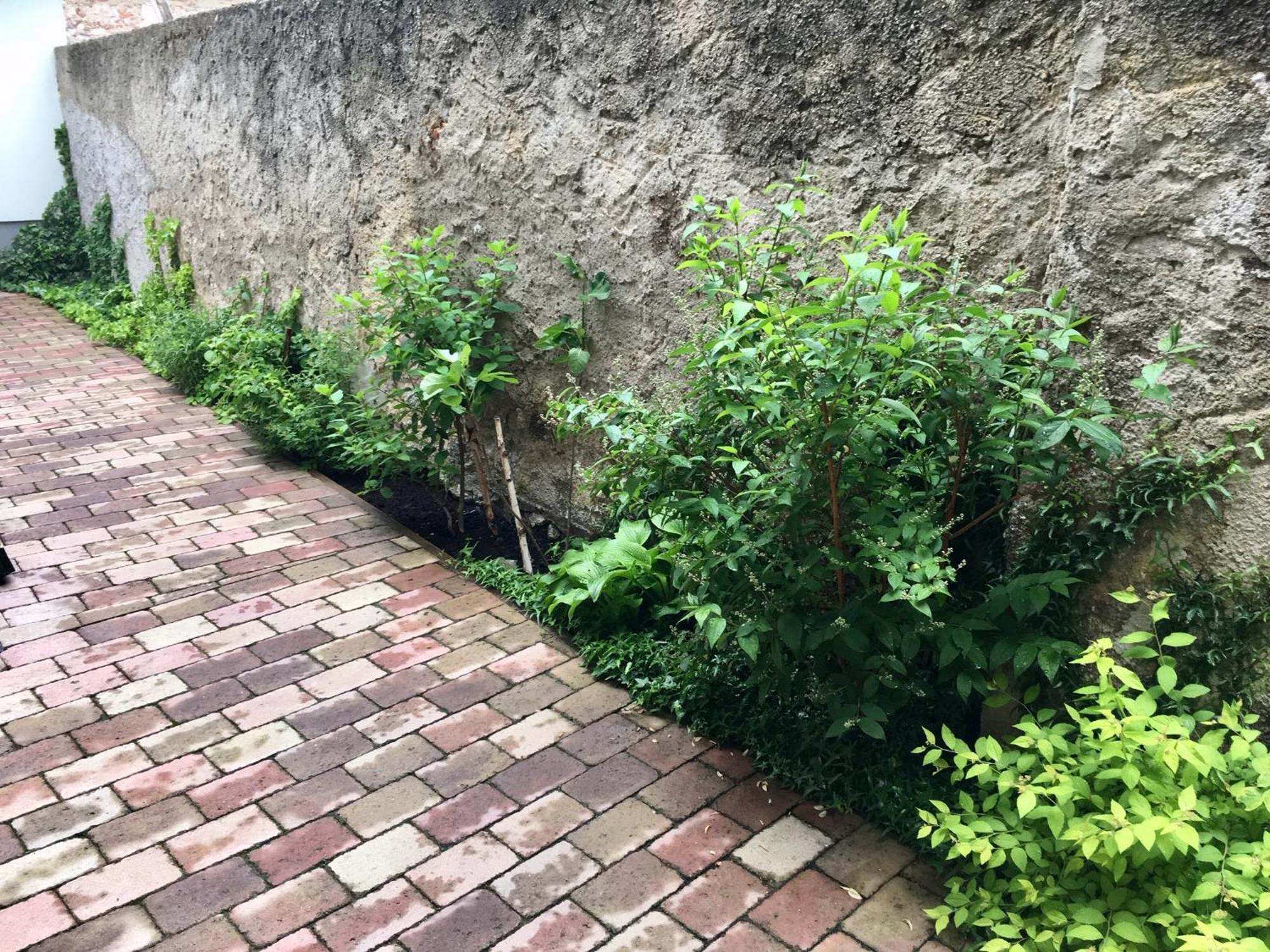 Apartmany U Vavrince Sušice Buitenkant foto
