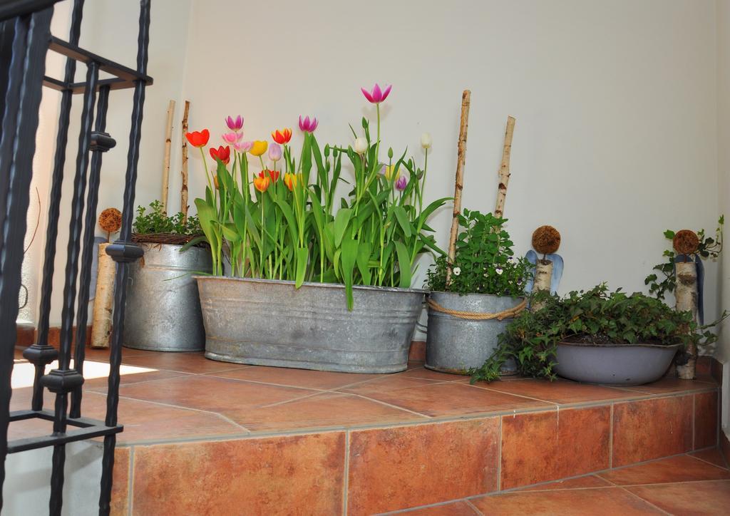 Apartmany U Vavrince Sušice Buitenkant foto